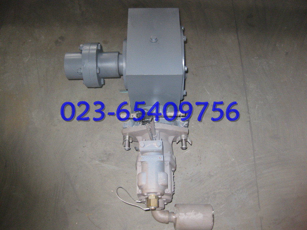 船用300kg絞車 軟梯絞車 引水員舷梯絞車 絞車